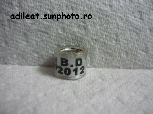 BAN-2012 - BANGLADESH-ring collection