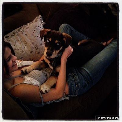 normal_usn-instagram-1dec-2011