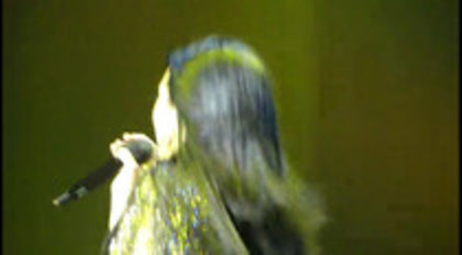 You Got Nothing On Me Demi Lovato Concert For Hope (152)