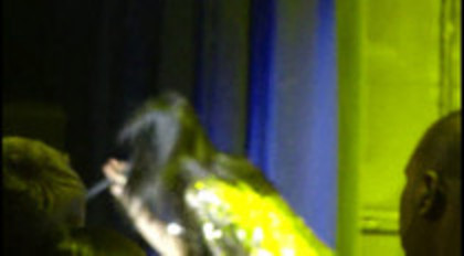 You Got Nothing On Me Demi Lovato Concert For Hope (193) - Demilush - You Got Nothing On Me Demi Lovato Concert For Hope