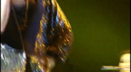 You Got Nothing On Me Demi Lovato Concert For Hope (240)