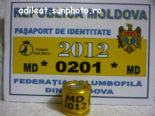 MD-2012.