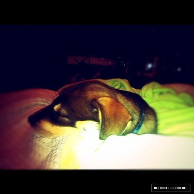 normal_d104d56e466211e180c9123138016265_7