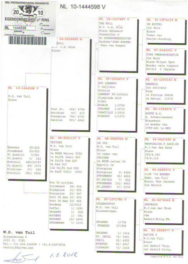 nl-1444598-10-f-11-clasari-fiica-desiree-super-zburatoare-1-as-yearlingi-club-olv-etc-etc-vt9-1