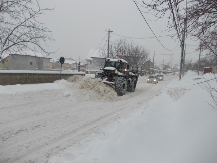 diverse 034 - 45- IARNA 2012