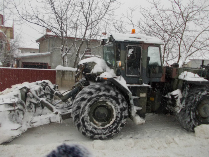 diverse 035 - 45- IARNA 2012