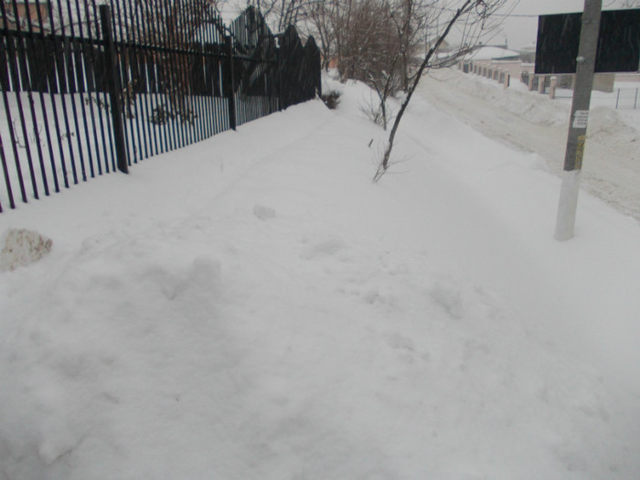 diverse 037 - 45- IARNA 2012