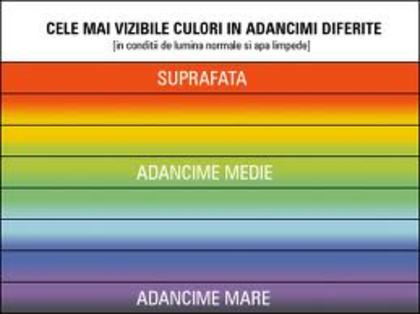images (23) - culori si iar culori