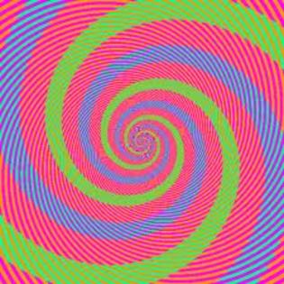 images (29) - culori si iar culori