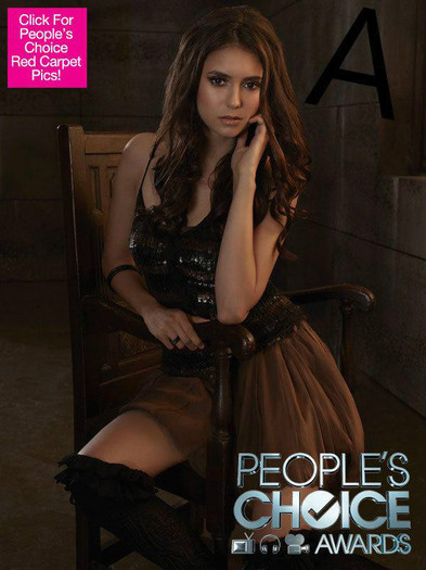 419858_340903582619440_100000994034526_975929_306464177_n - The Vampire Diaries