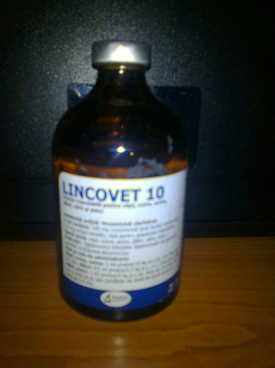 LINCOVET 10; antibiotic injectabil
