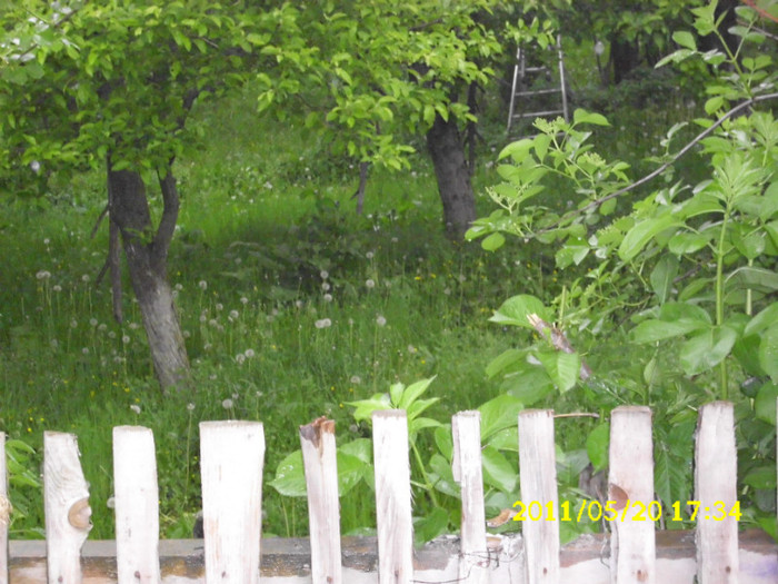 2 (117) - Home