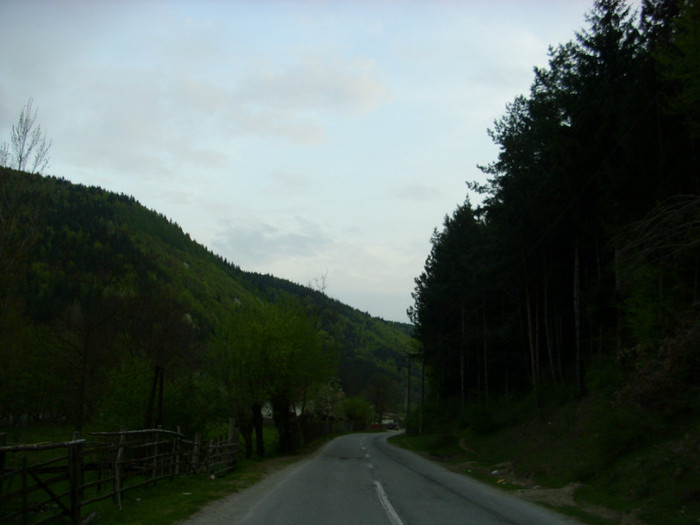 2 (128) - Home