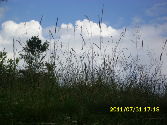 2 (168) - Home