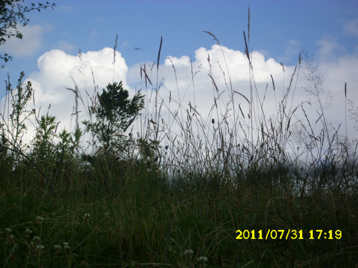 2 (169) - Home