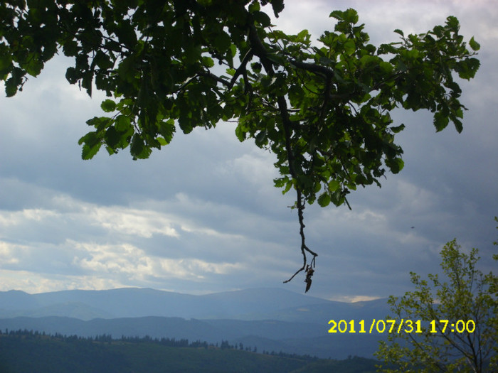 2 (170) - Home