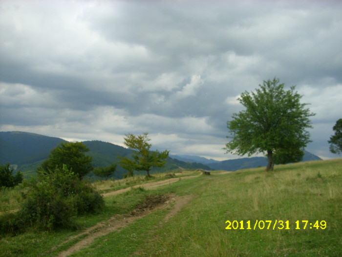 2 (172) - Home