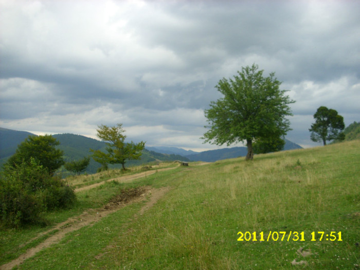 2 (176) - Home