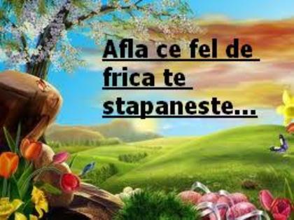 images (8) - A story