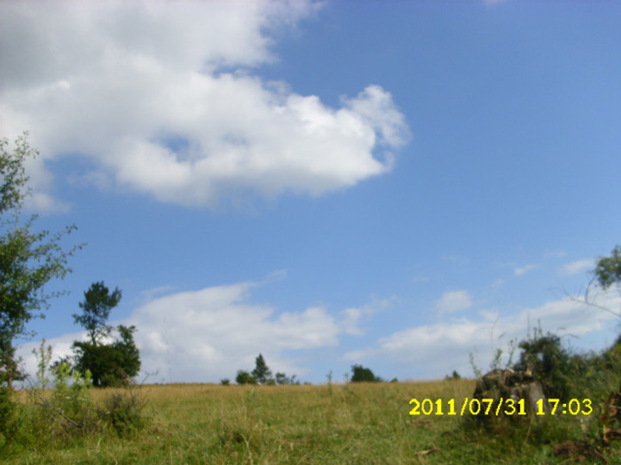 2 (196) - Home