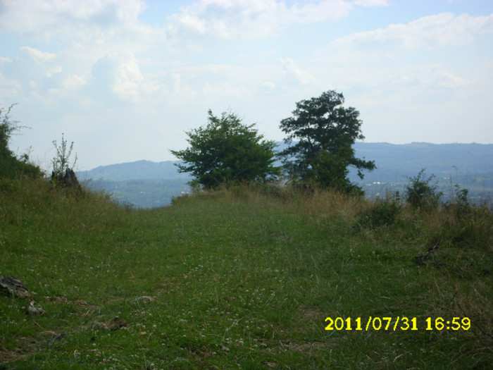 2 (199) - Home