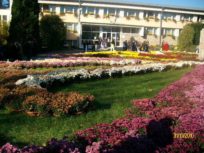 SANY7915 - Gradina Botanica Iasi 2010