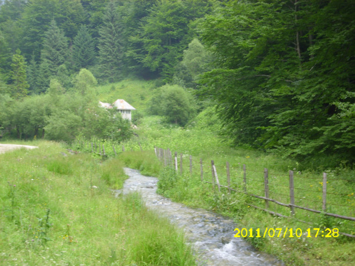2 (230) - Home