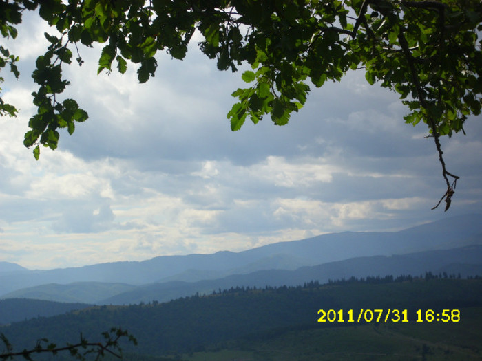 2 (257) - Home