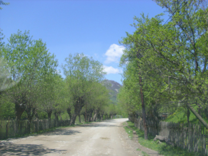 2 (261) - Home