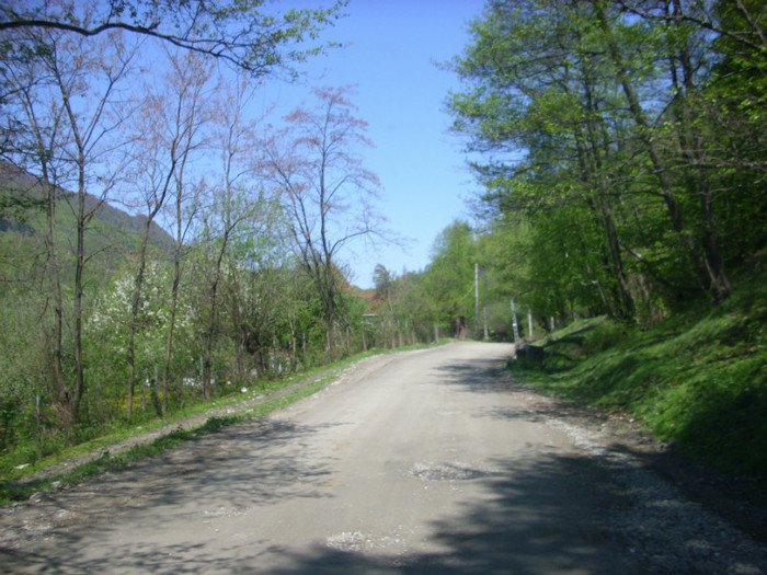 2 (290)