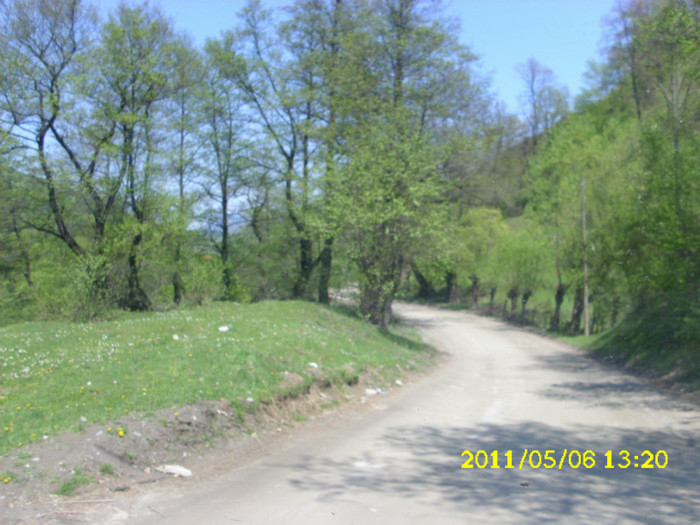 2 (299) - Home