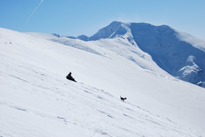 DSC_0113 - CATEUL BEAGLE PE MUNTE