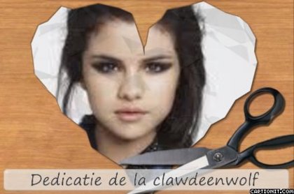  - Album cu dedicatie pentru Selena Gomez