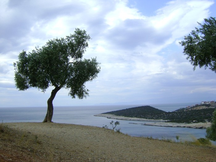 DSC04135 - Thassos Grecia