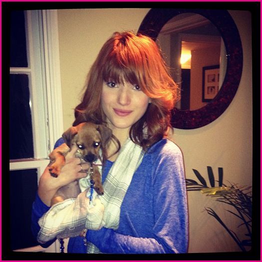 Bella-Thorne-And-Puppy-Krystal-Go-For-Walk - poze shake-it-up