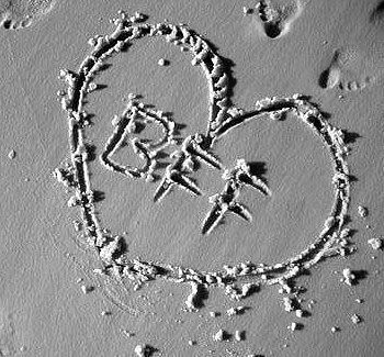 394830_206665769419893_100002294130657_434016_499723026_n