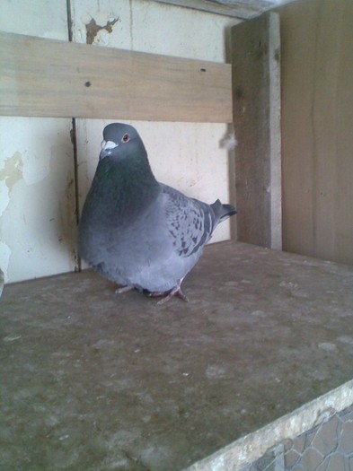 702 NORMA FOND; 702 NORMA FOND
