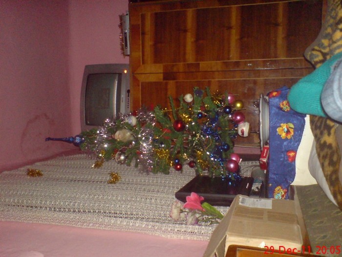 DSC03516