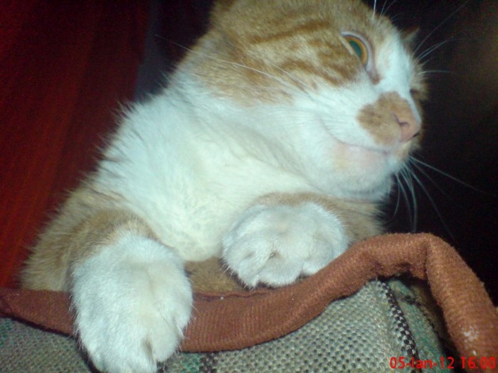DSC03886