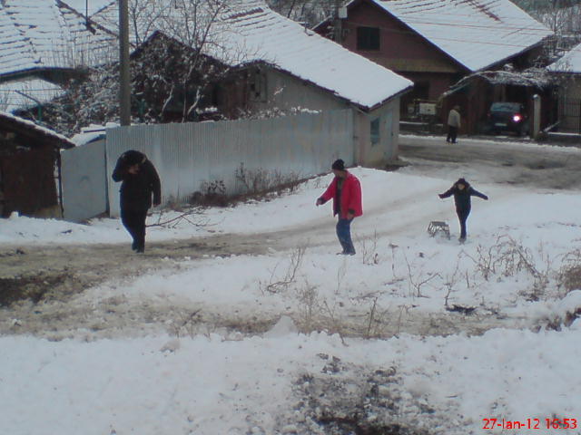 DSC04590