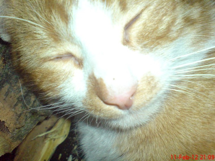 DSC05140