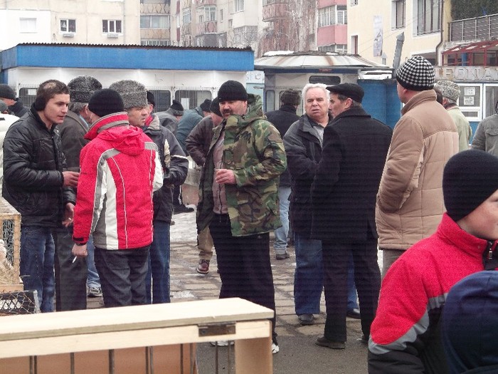 FACEM TARGUL??? - NU CONTEAZA EDITIA BINE CA MERGE