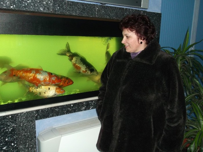 MUT CA PESTELE E BINE DE STAT