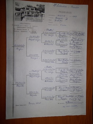 ing.CORNELIU CRETULESCU - PEDIGREE -foto EXPOZITIE