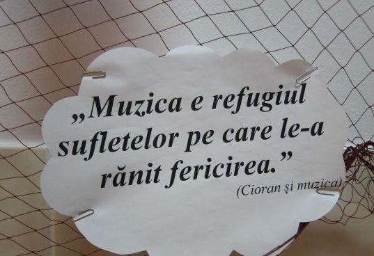 155863165_4291938_20664638