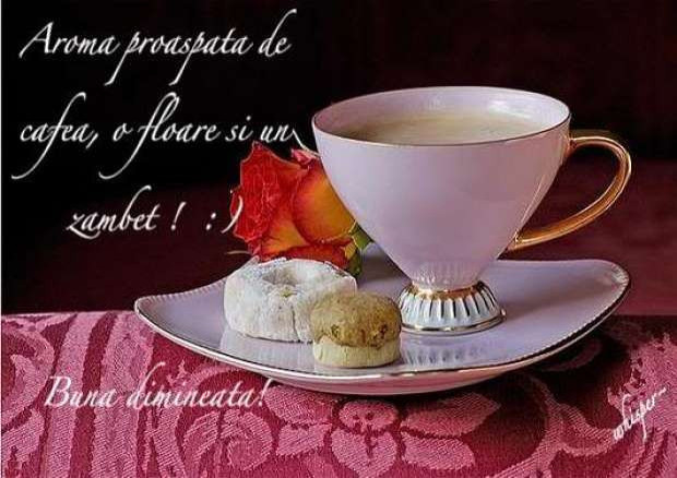 154022265_11218093_16387840