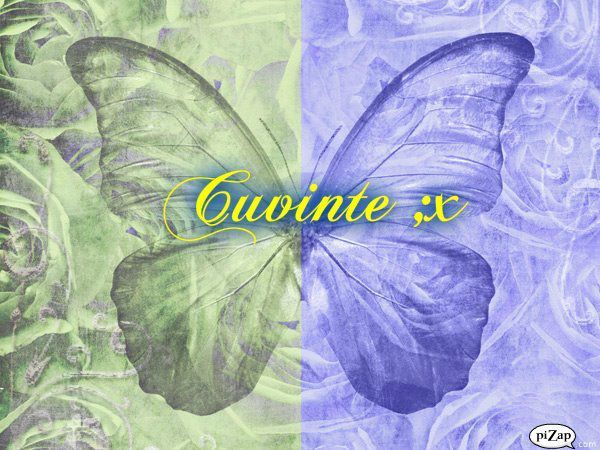 419925_303755256349457_282949885096661_892635_1671978922_n