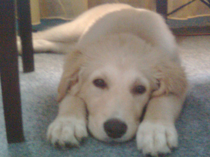 Imagine0469 - hera mica