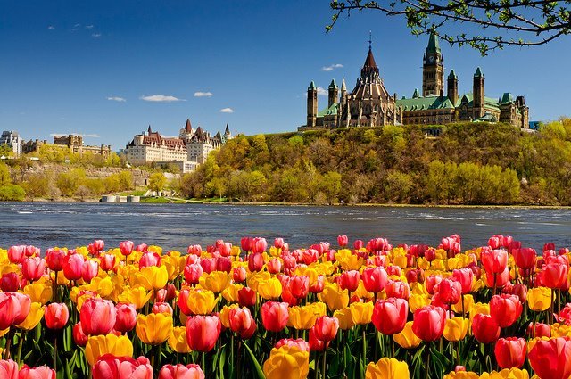 420858_393360180693407_100000582851016_1529789_1583930848_n[1]