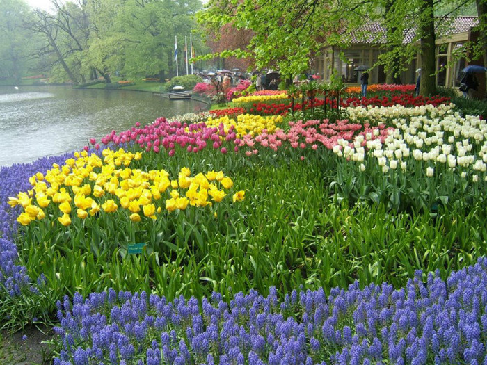 429224_393364500692975_100000582851016_1529808_47313845_n[1]